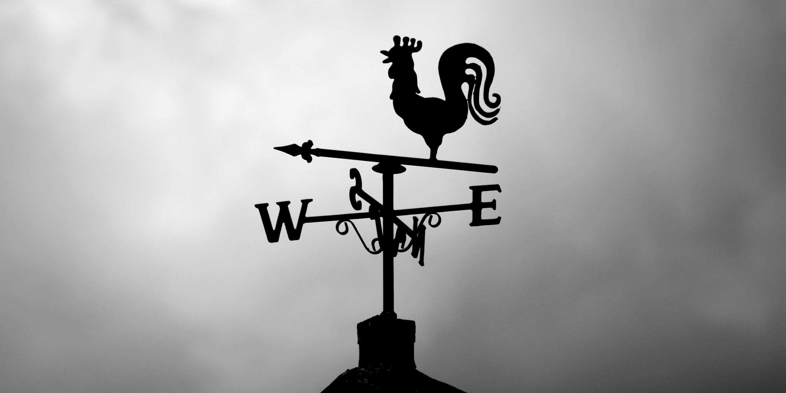 pexels-mat-brown-552600