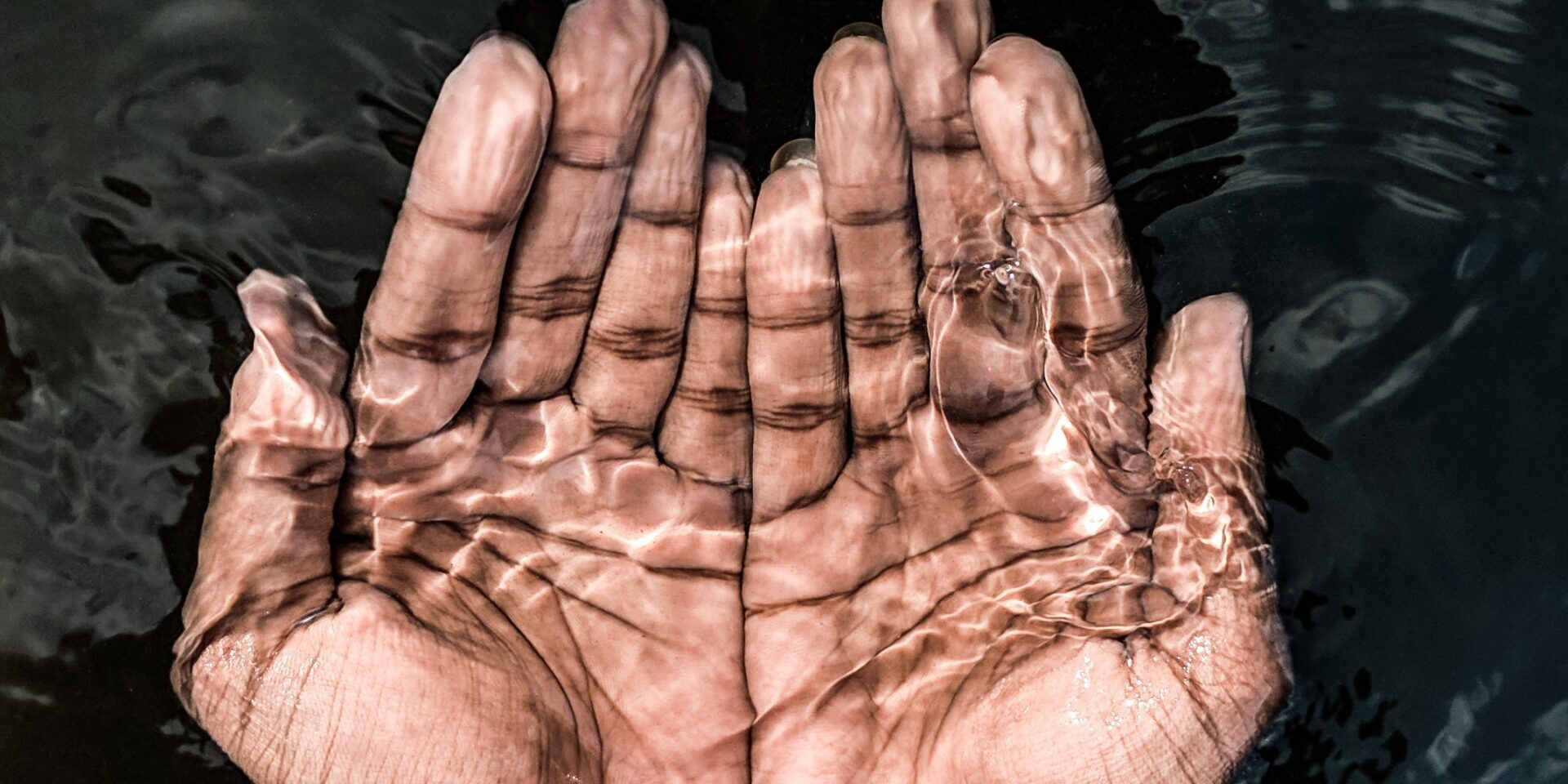 pexels-jacob-kelvinj-4515858