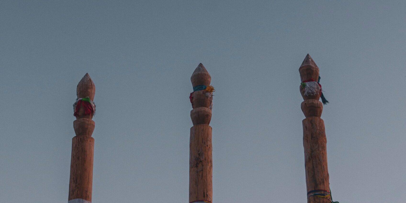 pexels-arina-dmitrieva-10888298