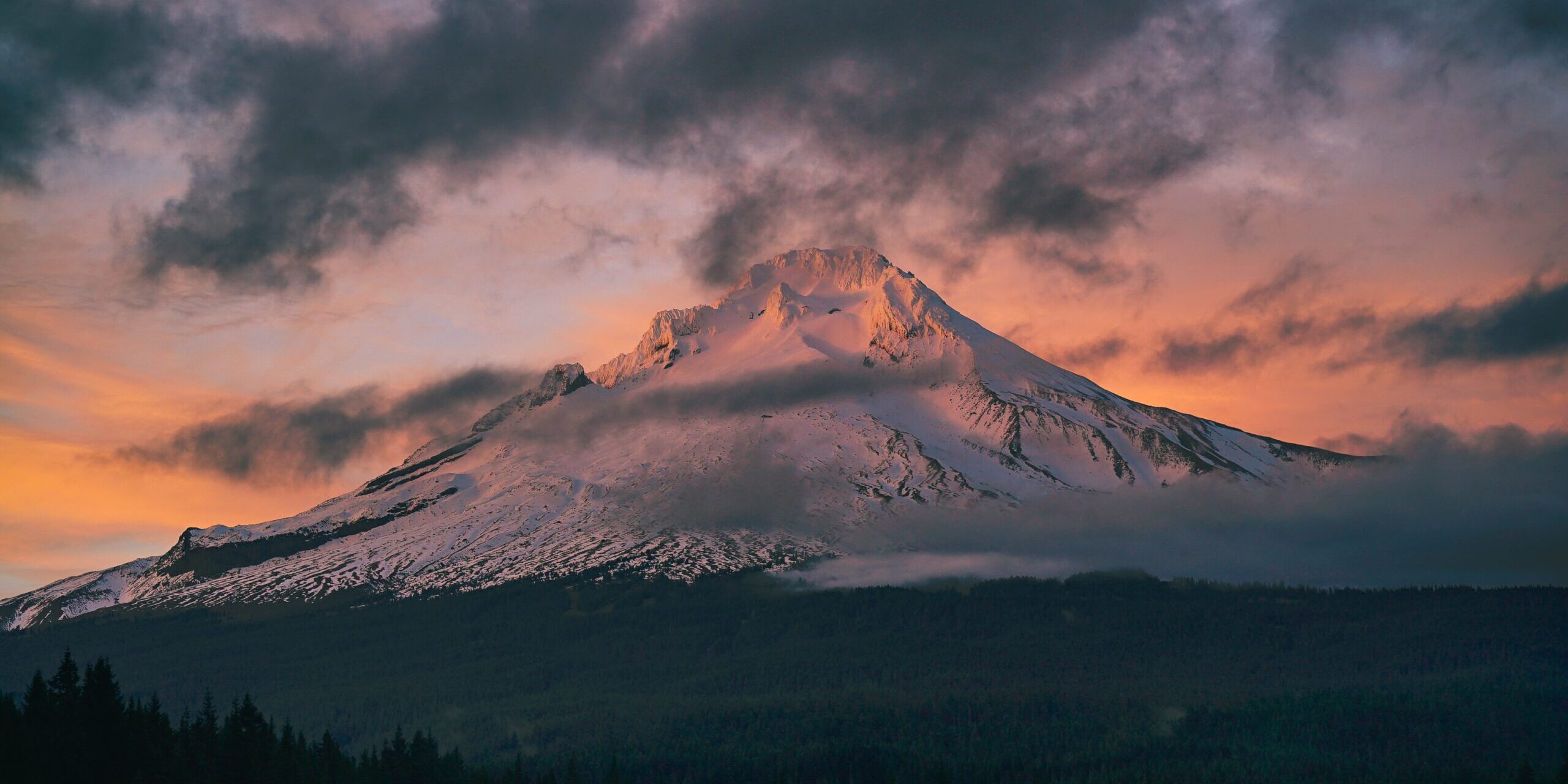 pexels-brady-knoll-5409751