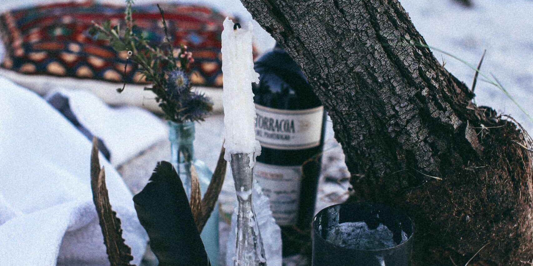 pexels-rachel-claire-4997836